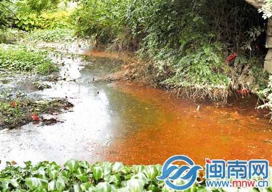 玉田渠水面，水浮蓮叢生，散發(fā)陣陣惡臭