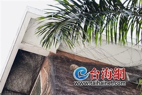 一個(gè)小區(qū)三馬蜂窩