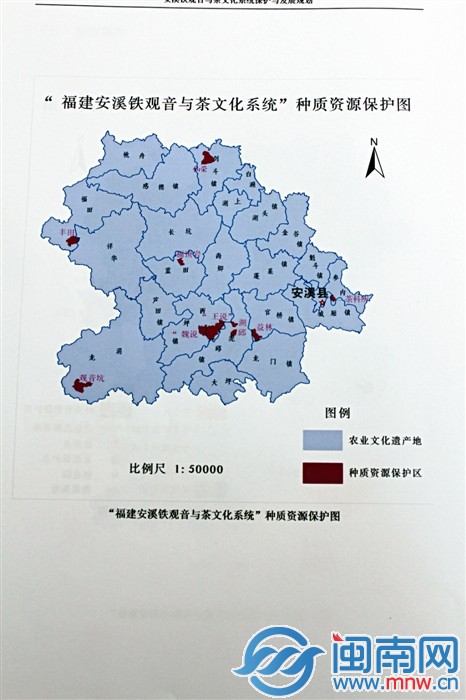 “福建安溪鐵觀音與茶文化系統(tǒng)”種質資源保護圖