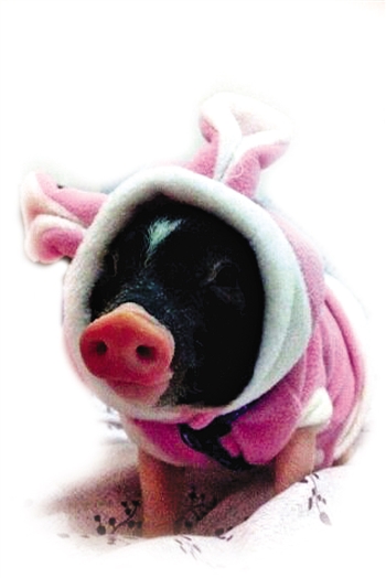 這是我小時(shí)候，超可愛吧