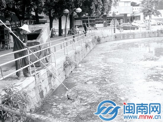 2009年，百源清池池水黑臭