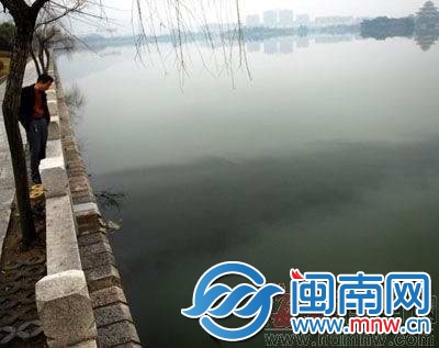 2011年，西湖遭油污污染