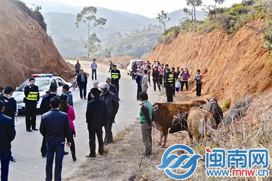 在兩村交界處，民警宣讀鑒定結(jié)果，村民圍觀