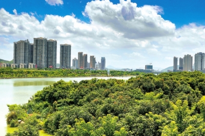 西溪兩岸郁郁蔥蔥，生機盎然