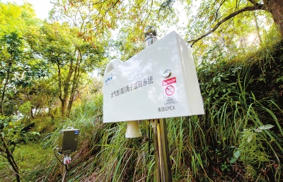 設立在靈應寺景區(qū)內的大氣負（氧）離子監(jiān)測設備。