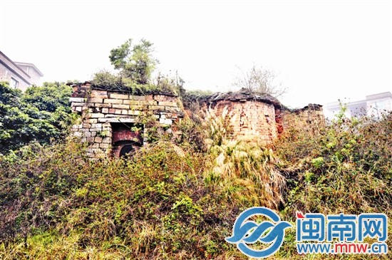 槐山村一處古窯，已經(jīng)被草叢包圍