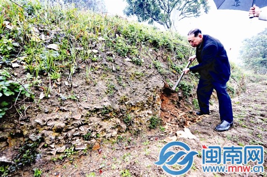 在田埂上，隨便一挖可見瓷片堆積
