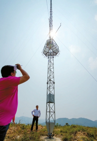 項目場地已建起測風塔