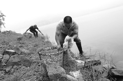 昨日，后橋水庫工作人員對(duì)釣魚者丟棄在岸邊的垃圾進(jìn)