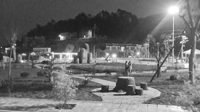 夜晚中的大眉村生態(tài)濕地公園。（大眉村村民蘇海霞供