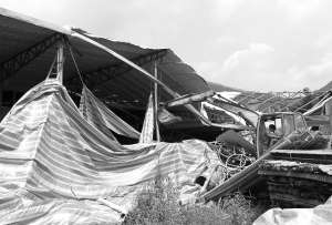 詩山一違建廠房被強拆