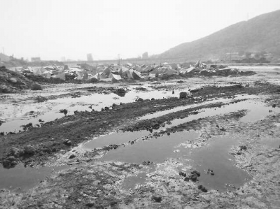 水頭鎮(zhèn)永泉山生態(tài)園內(nèi)，一家養(yǎng)殖場將污水排到了金都