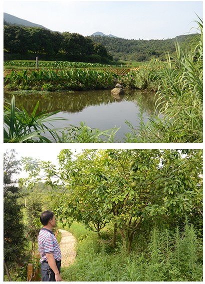 QQ圖片20140704101750