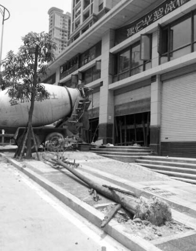 綠化樹倒半個(gè)月無人“扶”