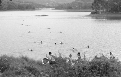 在省新鎮(zhèn)細(xì)坑水庫，來游泳的市民絡(luò)繹不絕。
