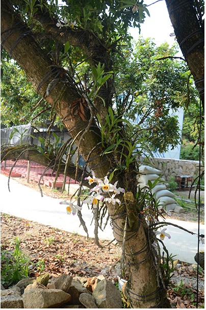 QQ圖片20140718151230