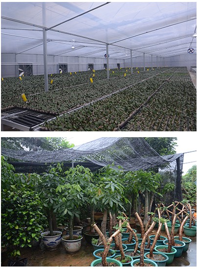 QQ圖片20140721103130