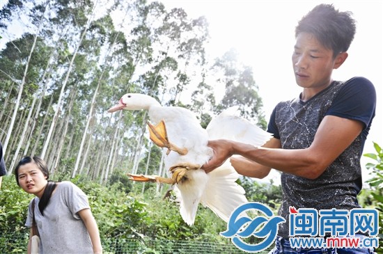 厝邊來(lái)看稀奇，因?yàn)樗L(zhǎng)了“三腿四爪”