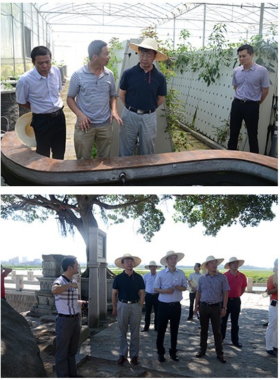 QQ圖片20140724102945